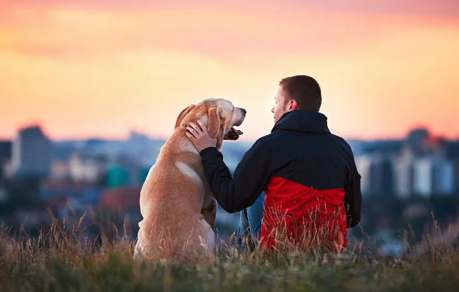 A Man and his beloved dog are enjoying a calm time against the backdrop of the metropolis.