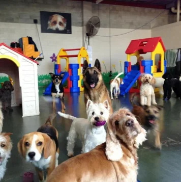 A cheerful pack of puppies runs around the space, perfectly capturing the spirit of canine excitement.