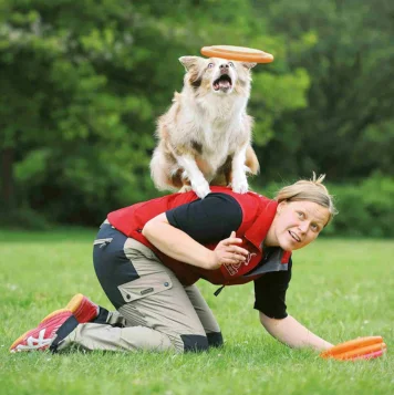 Best Pet Dog Training Service Center in Coimbatore