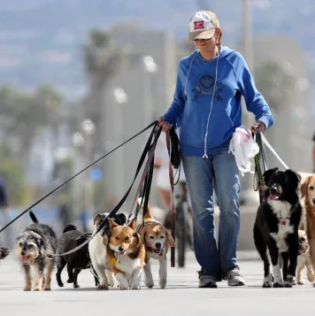 woman walking with a group of happy dogs along a scenic road, providing good dog daycare services.